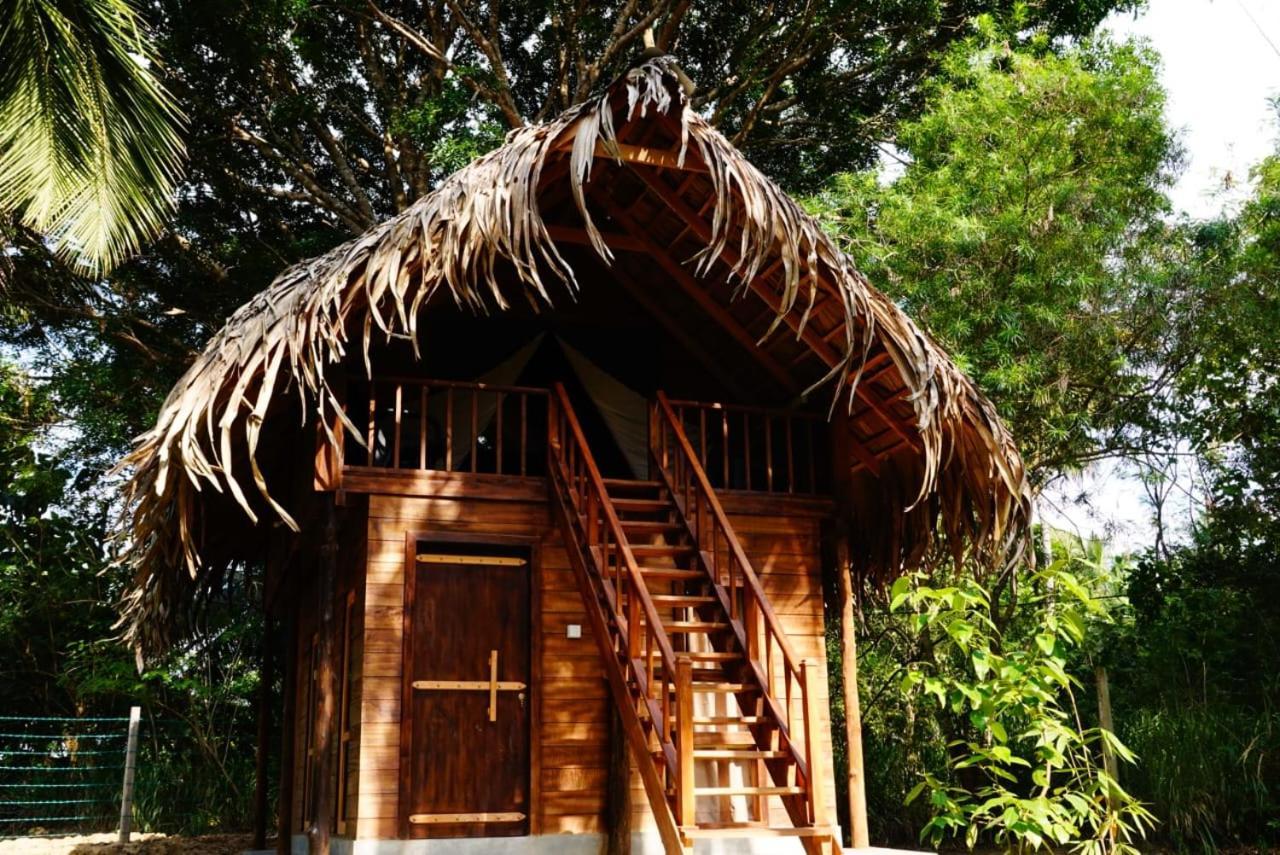 Jungle View River Camping Udawalawe Exterior foto
