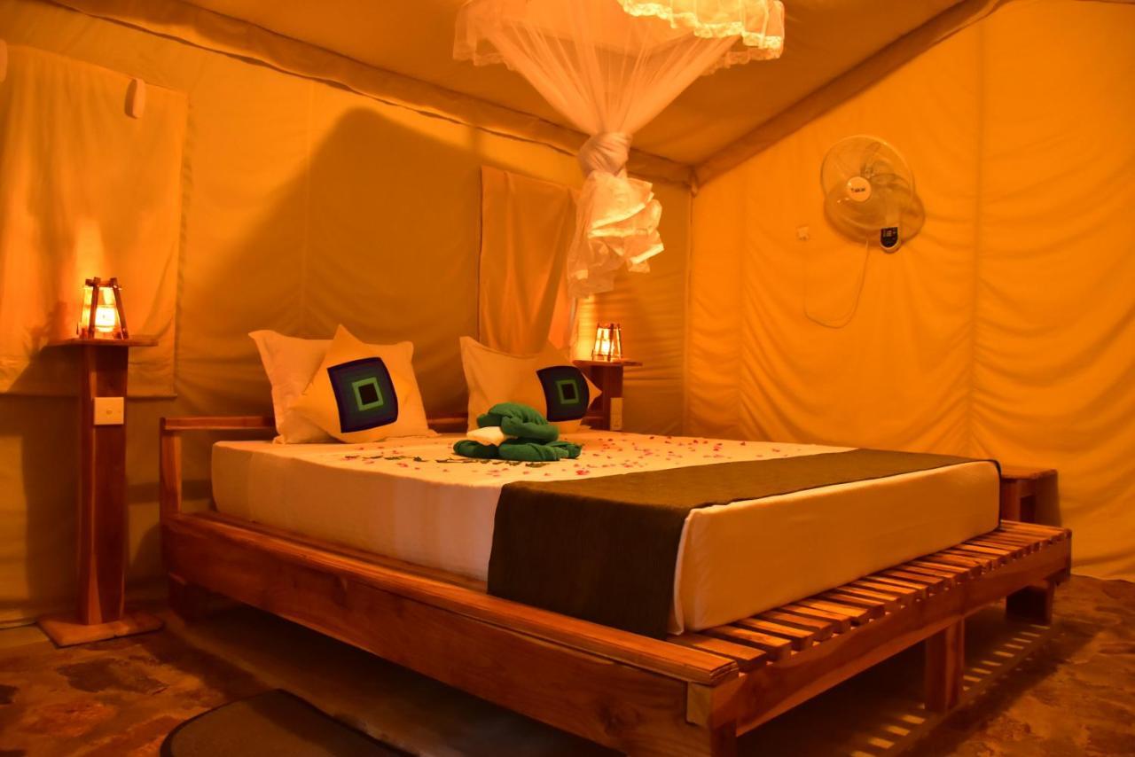 Jungle View River Camping Udawalawe Exterior foto